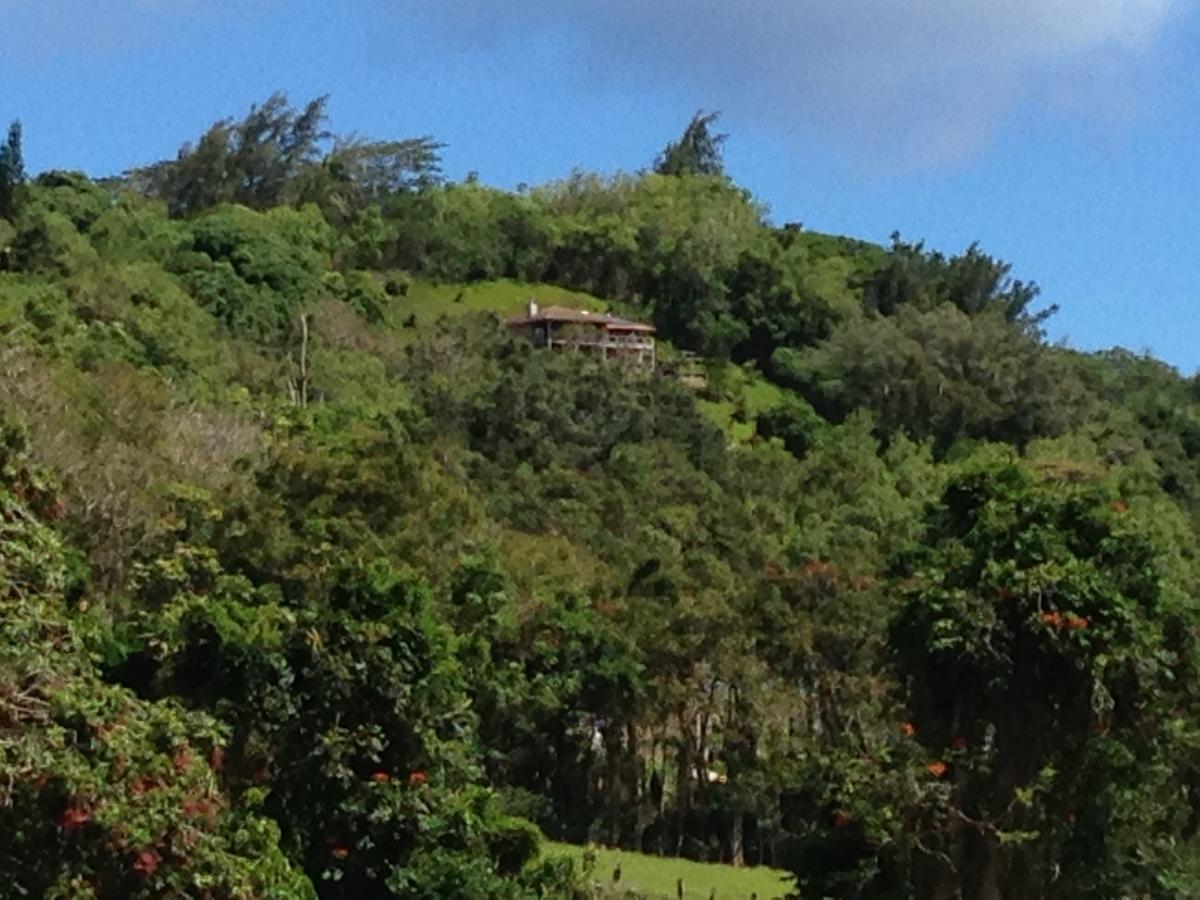 Marjorie'S Kauai Inn Lawai 외부 사진